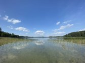 Medinis Namas Asvejos Regioniniame Parke,