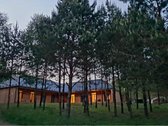 Poilsis pušų apsuptyje – erdvė kūnui, protui - nuotraukos Nr. 28