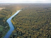 Itin vaizdingoje vietovėje, šalia Neries - nuotraukos Nr. 6