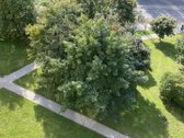 Nuomojame jaukų ir šviesų butą Naujamiestyje - nuotraukos Nr. 15