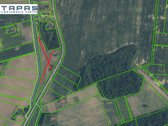 Parduodamas 2,79 Ha Žemės Sklypas Kauno - nuotraukos Nr. 3