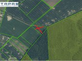 Parduodamas 1,54 Ha Žemės Sklypas, Geranorių - nuotraukos Nr. 2