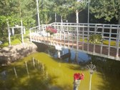 Parduodamas 2 aukštų mūrinis namas su 25 arų - nuotraukos Nr. 6