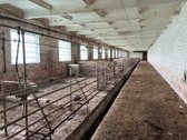 Šakių rajone, Baltrušių kaime parduodamos - nuotraukos Nr. 10