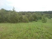 Parduodami du sklypai šalia Druskininkų ir - nuotraukos Nr. 3
