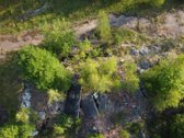 Parduodamas žemės ūkio paskirties sklypas - nuotraukos Nr. 13