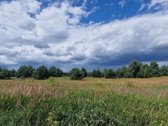 Parduodami du atskiri sklypai prie Elektrėnų - nuotraukos Nr. 4