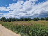 Parduodami du atskiri sklypai prie Elektrėnų - nuotraukos Nr. 5