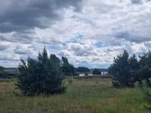Parduodami du atskiri sklypai prie Elektrėnų - nuotraukos Nr. 10