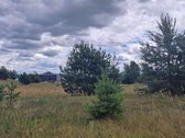 Parduodami du atskiri sklypai prie Elektrėnų - nuotraukos Nr. 11