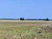 8,9 Ha Sklypas Prie Vilnius–panevėžys - nuotraukos Nr. 12