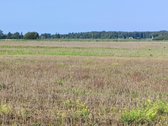 8,9 Ha Sklypas Prie Vilnius–panevėžys - nuotraukos Nr. 14