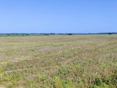 8,9 Ha Sklypas Prie Vilnius–panevėžys - nuotraukos Nr. 17