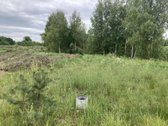 Parduodamas Sklypas Su Statybos Leidimu Ir - nuotraukos Nr. 8