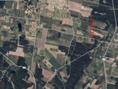Labai gražioje vietoje, miško apsuptyje, - nuotraukos Nr. 18