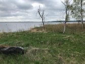 Parduodami du gretimi sklypai, 0,25ha namų - nuotraukos Nr. 6