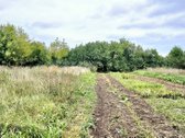 Parduodamas 0.1369 Ha Namų Valdos Sklypas - nuotraukos Nr. 4