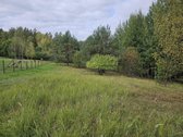 Parduodamas zemes sklypas ypatingoje vietoje. - nuotraukos Nr. 18