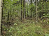 Parduodamas zemes sklypas ypatingoje vietoje. - nuotraukos Nr. 21