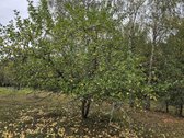 Parduodamas zemes sklypas ypatingoje vietoje. - nuotraukos Nr. 32