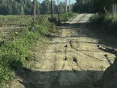 Parduodamos Dvi Sodybos 6 Ha Žemės Sklypuose - nuotraukos Nr. 16