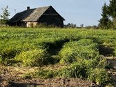 Parduodamos Dvi Sodybos 6 Ha Žemės Sklypuose - nuotraukos Nr. 18