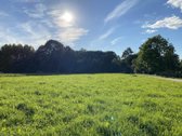 Parduodu 12 arų sklypą Maciuičiuose, Ąžuolo