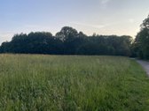 Parduodu 12 arų sklypą Maciuičiuose, Ąžuolo - nuotraukos Nr. 3