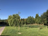 Nuomojama jauki studija projekte „Linkmenų - nuotraukos Nr. 19