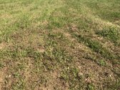 Parduodamas sklypas 4,36 ha. - nuotraukos Nr. 18