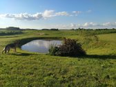 Parduodama sodyba Vidiškių km, Ignalinos - nuotraukos Nr. 2