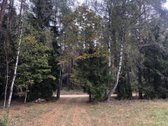 Parduodamas sklypas 4,36 ha. - nuotraukos Nr. 20