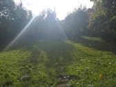 Parduodama namo dalis Raseiniu rajone - nuotraukos Nr. 5