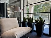 Zappa Square  workspace library  residence - nuotraukos Nr. 10