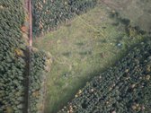 Parduodamas sklypas 4,36 ha. - nuotraukos Nr. 8