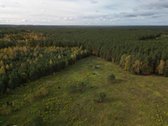 Parduodamas sklypas 4,36 ha. - nuotraukos Nr. 14