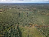 Parduodamas sklypas 4,36 ha. - nuotraukos Nr. 17