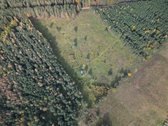 Parduodamas sklypas 4,36 ha. - nuotraukos Nr. 11