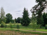 Parduodami sklypai. Ieškantiems geriausio ! - nuotraukos Nr. 10