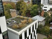 Pačiam Miesto Centre, prie pat Blc verslo - nuotraukos Nr. 13