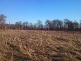 Parduodame 2.66ha žemės ūkio paskirties - nuotraukos Nr. 5
