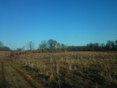 Parduodame 2.66ha žemės ūkio paskirties - nuotraukos Nr. 6