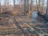 Parduodame 2.66ha žemės ūkio paskirties - nuotraukos Nr. 2