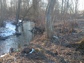 Parduodame 2.66ha žemės ūkio paskirties - nuotraukos Nr. 3