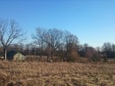 Parduodame 2.66ha žemės ūkio paskirties - nuotraukos Nr. 8