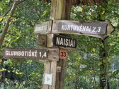 Kurtuvėnų regioniniame parke vieta naujai - nuotraukos Nr. 4