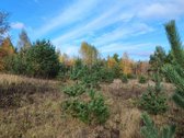 Parduodamas 1,2079 ha žemės ūkio paskirties - nuotraukos Nr. 7