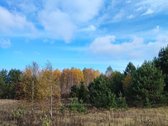Parduodamas 1,2079 ha žemės ūkio paskirties - nuotraukos Nr. 10