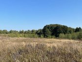 Parduodami du, esantys vienas šalia kito, po - nuotraukos Nr. 3
