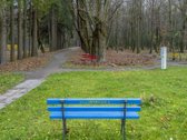 Jūsų dėmesiui ką tik po remonto išskirtinai - nuotraukos Nr. 33